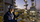 Employee overlooking refinery