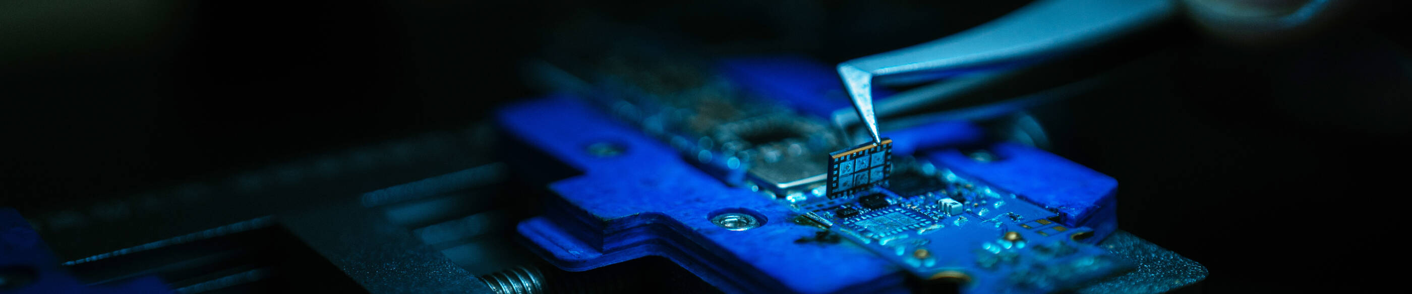 Microchip