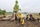 People planting tree  as Community Illustration