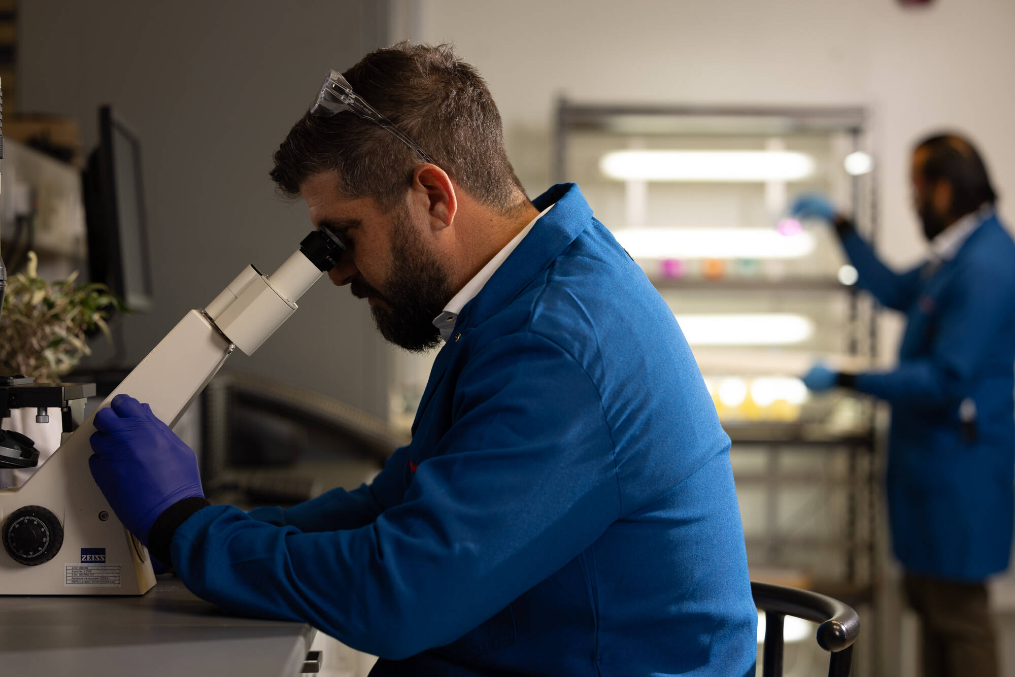 employee at microscope working in lab